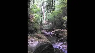 Balch Creek Chaconne