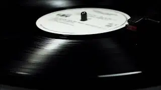 R J  Mischo & His Red Hot Blues Band - Cool Disposition