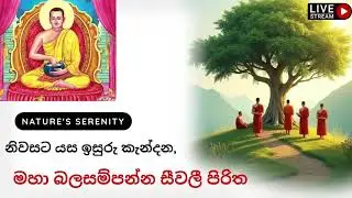 Pirith Live Today | සජීව පිරිත| Pirith Chanting Live Streaming | Buddhist Blessings 2025
