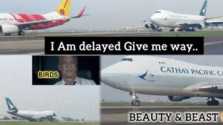 Near Miss BIRD STRIKE | Queen of Sky| Taxi to Take off | 2K #boeing747 #planespottingchennai #b747