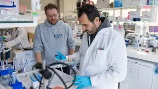 Reprogramming disease-driving cell states to fight disease