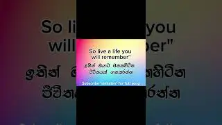 The nights by avicii sinhala meaning #music #sinhalasubs #avicii #thelyrics