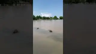 #geonews #breakingnews #flood #pindaalyejutt #newmusic #automobile #jattlifestudios #farming