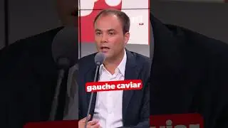 La charge de Charles Consigny contre le Conseil constitutionnel