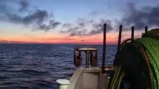 Tag med Ralima fra Hanstholm på fiskeri i Skagerak