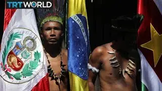 Amazon Fires: Seven countries sign forest pact in Colombia