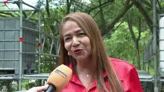Habilitaron puente peatonal para el paso de estudiantes de la Normal Superior de Medell&iacute;n