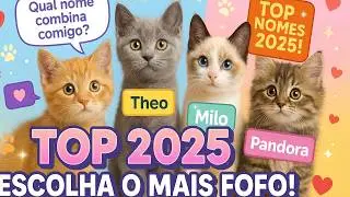 Most Beautiful Names for Cats 2025