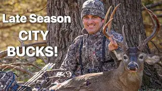 Late Season CITY BUCKS!!! New FEED for 2025!!