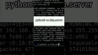 Create a Local Web Server in Seconds Using Python  
