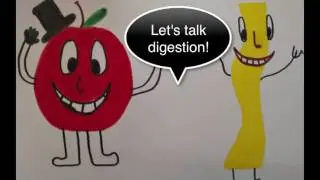 Apple and Linguine: All About the Digestive System