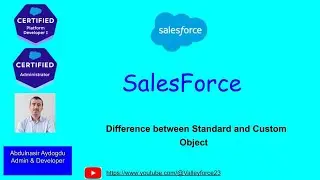 Standard and Custom object || 12