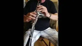 B Clarinete Buffet Crampon Pre-Prestige Full Boehm + Case