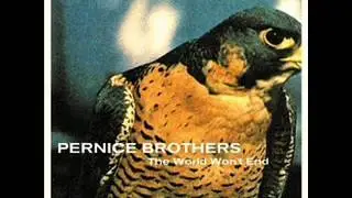 Pernice Brothers - Endless Supply