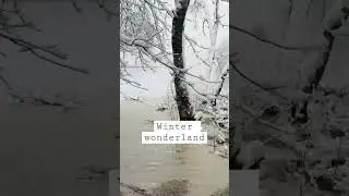 Amazing trail 😍😍😍😍 winter wonderland status #winter #winterwonderland #reel #viral #epic
