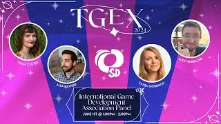 International Game Developers Association (IGDA) Panel @ TGEX 2024