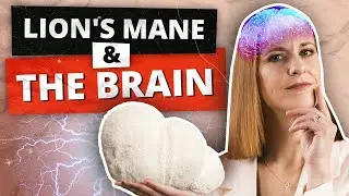 Choosing LION'S MANE Supplements For Brain: Top Benefits & The Science Behind It