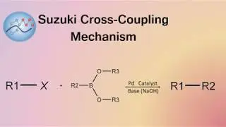 Suzuki Cross-Coupling Mechanism | Organic Chemistry