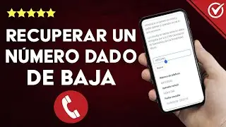 &iquest;C&oacute;mo recuperar un N&Uacute;MERO DADO DE BAJA? - Formas de recuperar un n&uacute;mero de m&oacute;vil
