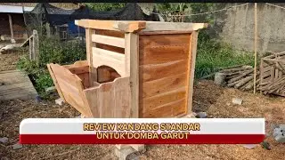 REVIEW KANDANG STANDAR DOMBA GARUT. Kandang jantan dan koloni