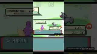 Mudkip shiny Pok&eacute;mon Ruby, como pegar shiny 100% das vezes