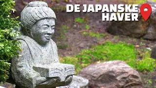 Oplev JAPAN i hjertet af DANMARK