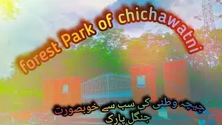 The forest Park of chichawatni💫.                          #viral #trending #vlogs #nature #beauty