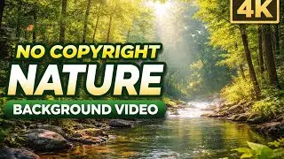 No Copyright Nature Background Video | Royalty Free | 4K Relaxing Nature