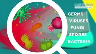 ComfoSan Germ Free Shoes