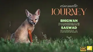 Bhigwan | Karnala | Saswad | Cinematic Wildlife | Maharashtra | Abhishek Das Wildlife Diaries | 4K