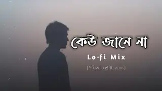 Kew Jane Na ▽ Lo-fi Slowed + Reverb | Bengali Sad Song | Emotional Vibes . EGreen Studio 