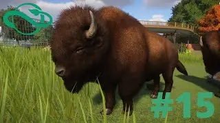 6000 Guests! Unique American Bison Exhibit Speed Build! - Planet Zoo - Ep15
