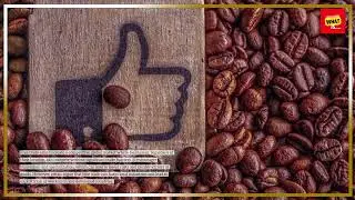 What is the difference between fair trade and free trade