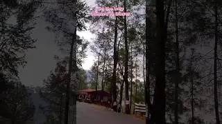#सुहाना सफर इको बिन्सर की ओर#Almora to Binser #Eco Binser #NatureLovers