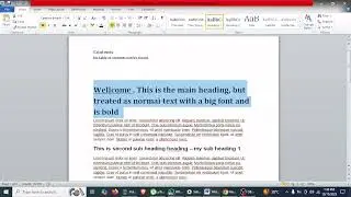 How to Automatically Create a Table of Contents and List of Tables in Word (Step-by-Step)