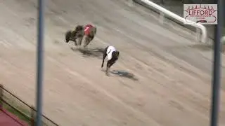 Friday 25th August 2023 | Race 5 | BOINN