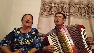 Окшоштурсам сага гул өңүн