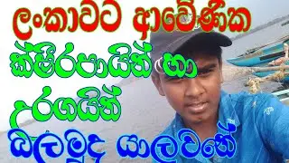 ලංකාවට ආවේණික ආවේණික ක්ෂීරපායින් හා උරගයින් කවියකින් බලමුද යාලුවනේ/ApeIskole/SinhalaSongs/ApeIskole❤