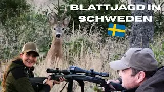 Ein Ruf, zwei Böcke! I Blattjagd in Schweden