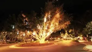 Noosa accommodation overview