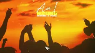 Trendos & Virali - Am I Wrong (Lyrics)