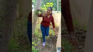 വെറും വേരല്ല😱ആള് കേമനാ 👍#viralreels #sarbath #nannari #naruneendi #plants #coocing