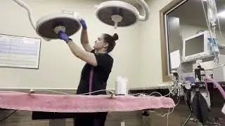 AVMA Video VTHT 1341 Boxes 8 1 to 9 3