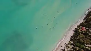 Aerial shot of a tropical beach with palm trees and turquoise water
