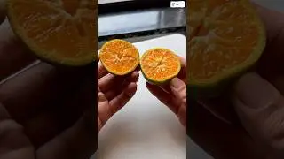 Best food combinations | #shortsfeed #ytshorts #shorts #recipe #food