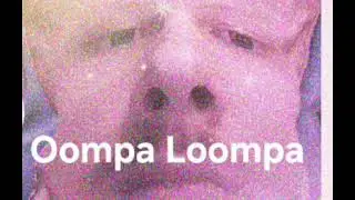 Oompa Loompa (chinese) official audio (prod. TREETIME)