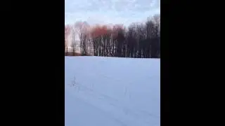 Polaris edge with xcr 800 motor