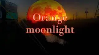 Orange Moonlight-Enter The Distracted Globe