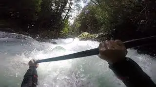 TODO PALGUIN CON EL AMIGO PINI (SIN SALTO PALGUIN,NI EXP NI PALGUIN MEDIO)