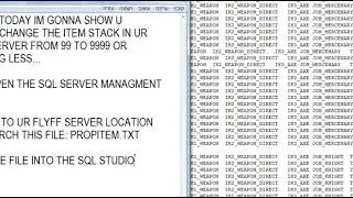 How To Change item stack in Your FlyFF Server